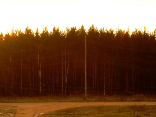 23231 (a): :1024x768